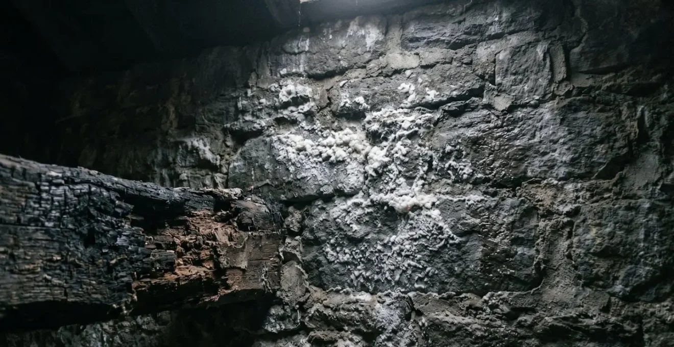 Mur en pierre avec salpêtre et poutre noircie, symbolisant les dégâts de l'humidité.